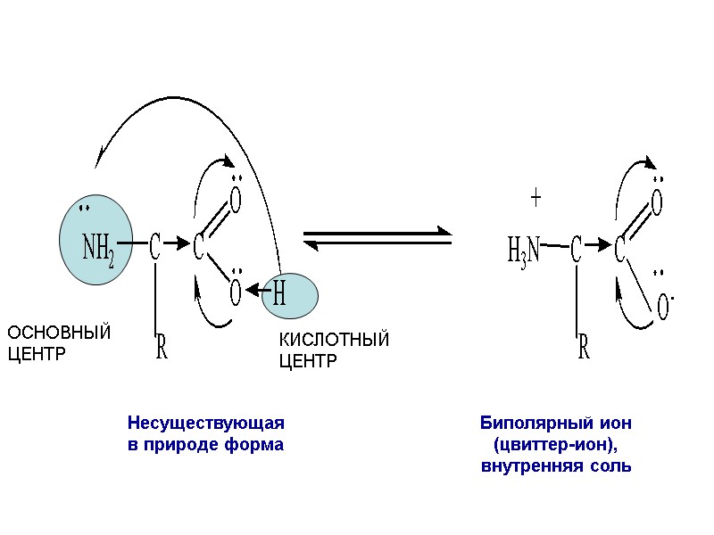 Несуществующая  в природе форма Биполярный ион  (цвиттер-ион),  внутренняя соль ОСНОВНЫЙ 